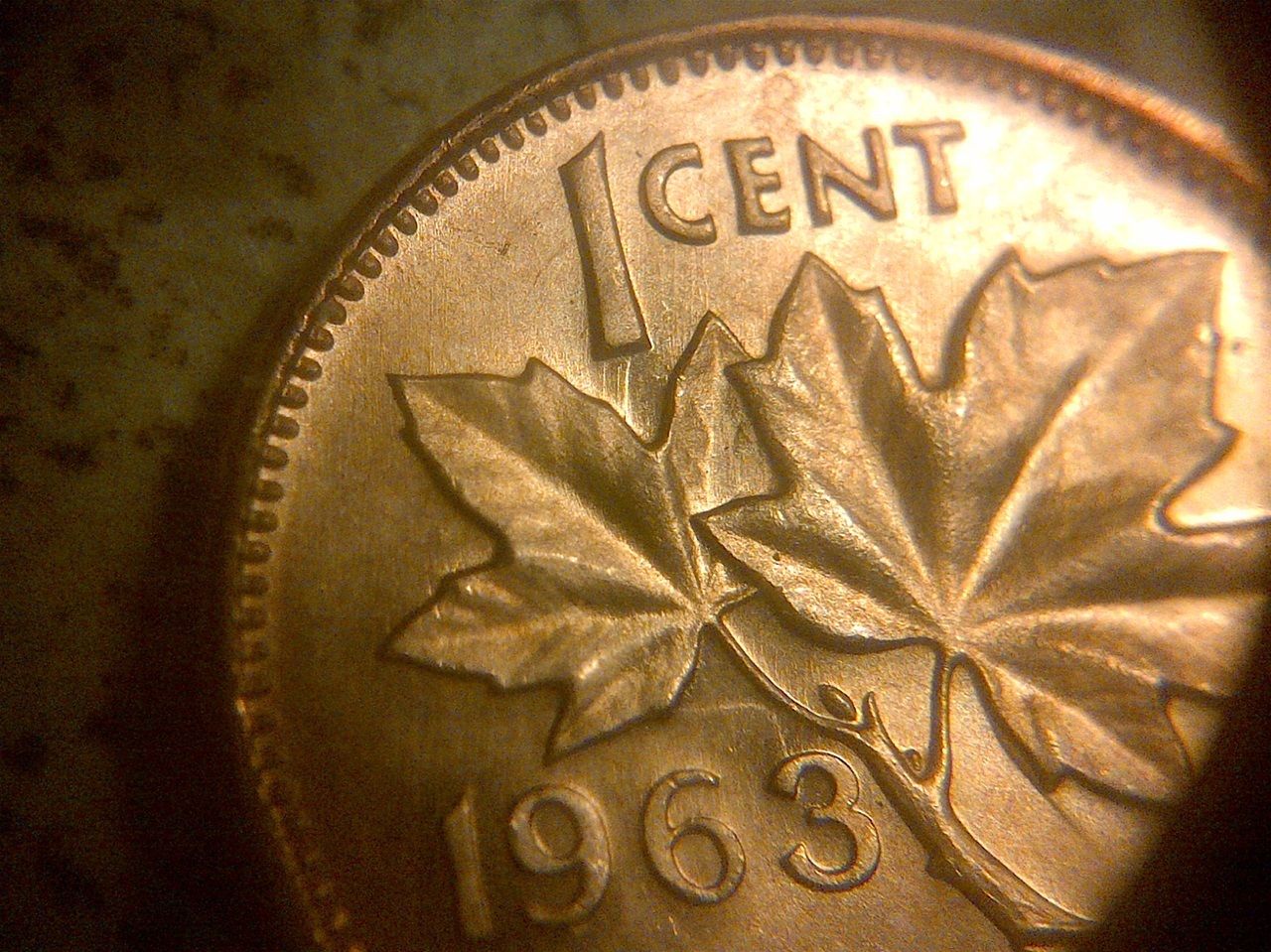 $_57 (1).JPG