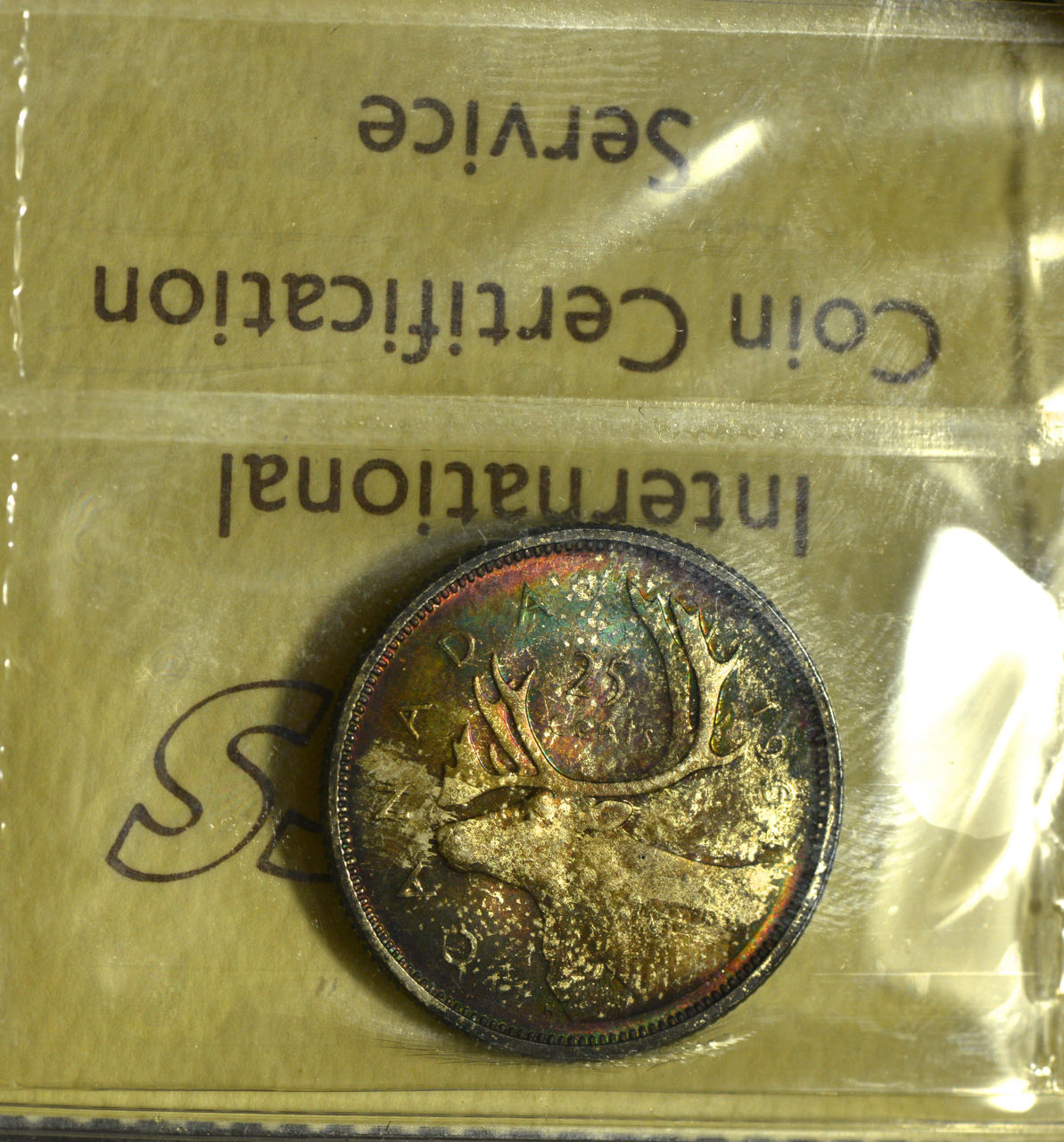 $_57 (7)lilililili.JPG