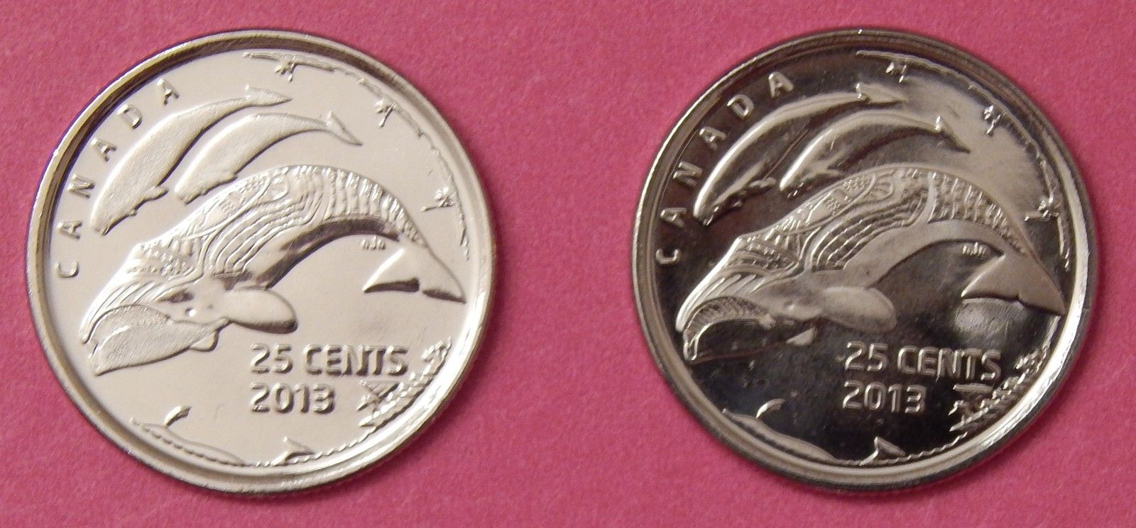 $_57 copy 9.JPG