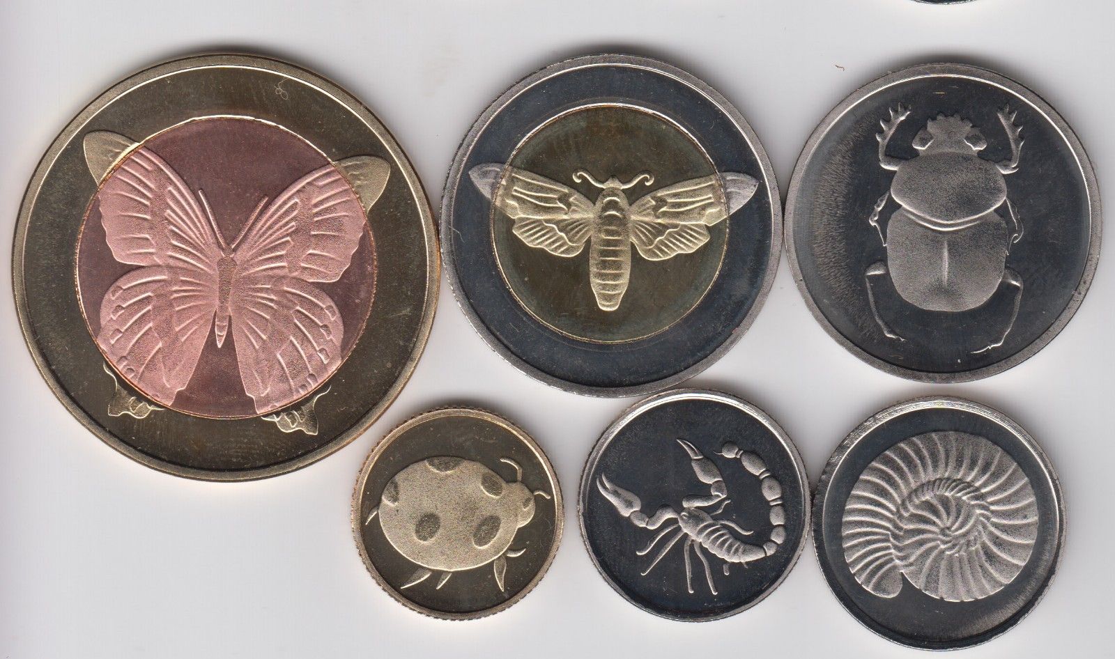 $_57insects 2.jpg