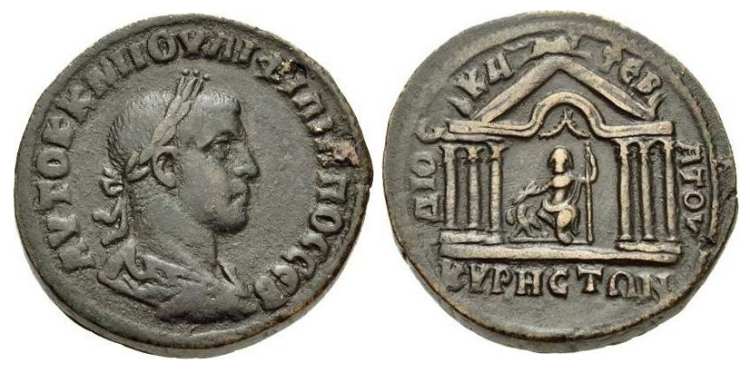 _cyrrhus_BMC_34.jpg