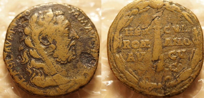 _DSCr9271.jpg