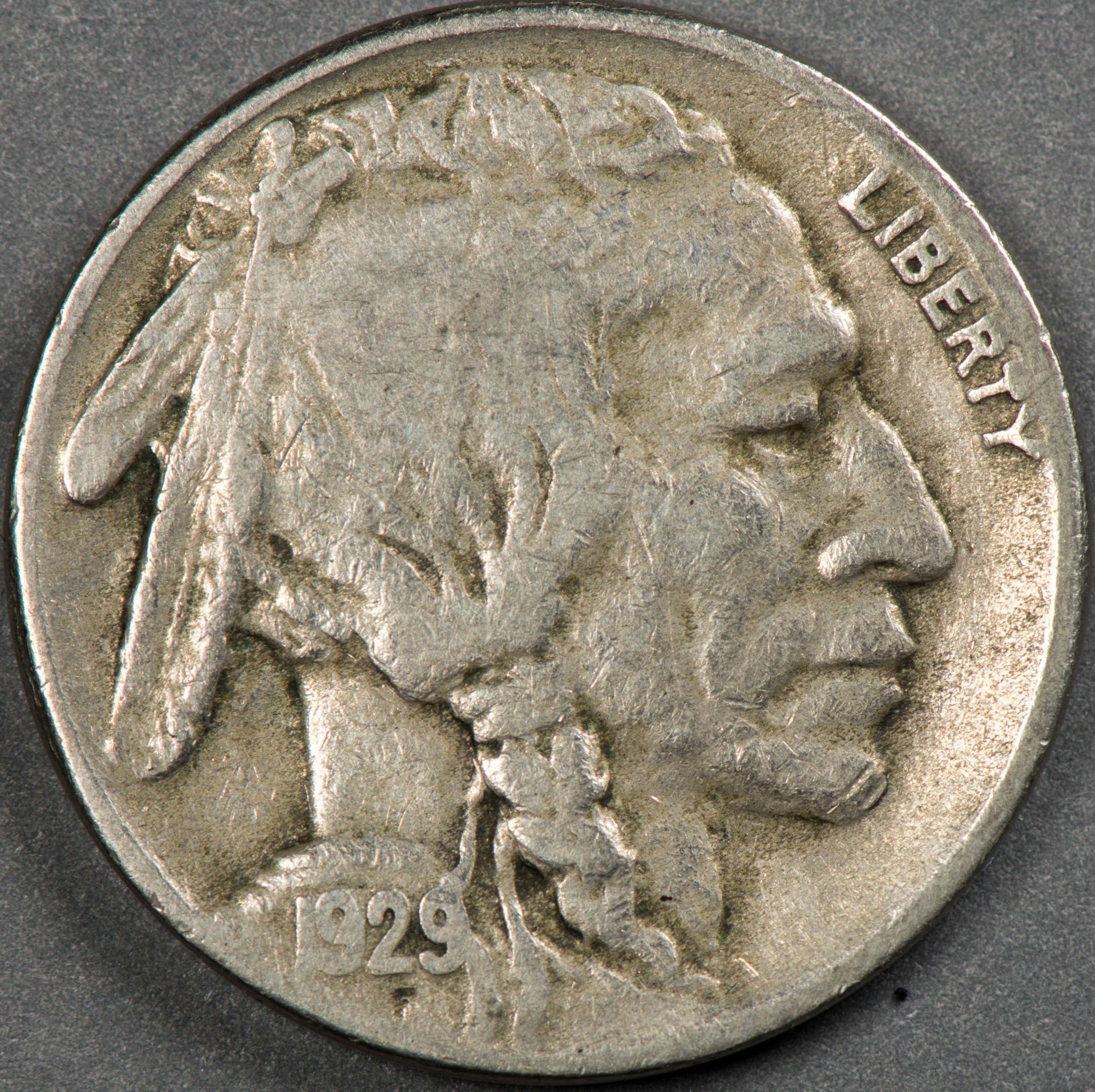 _DWE1878.jpg