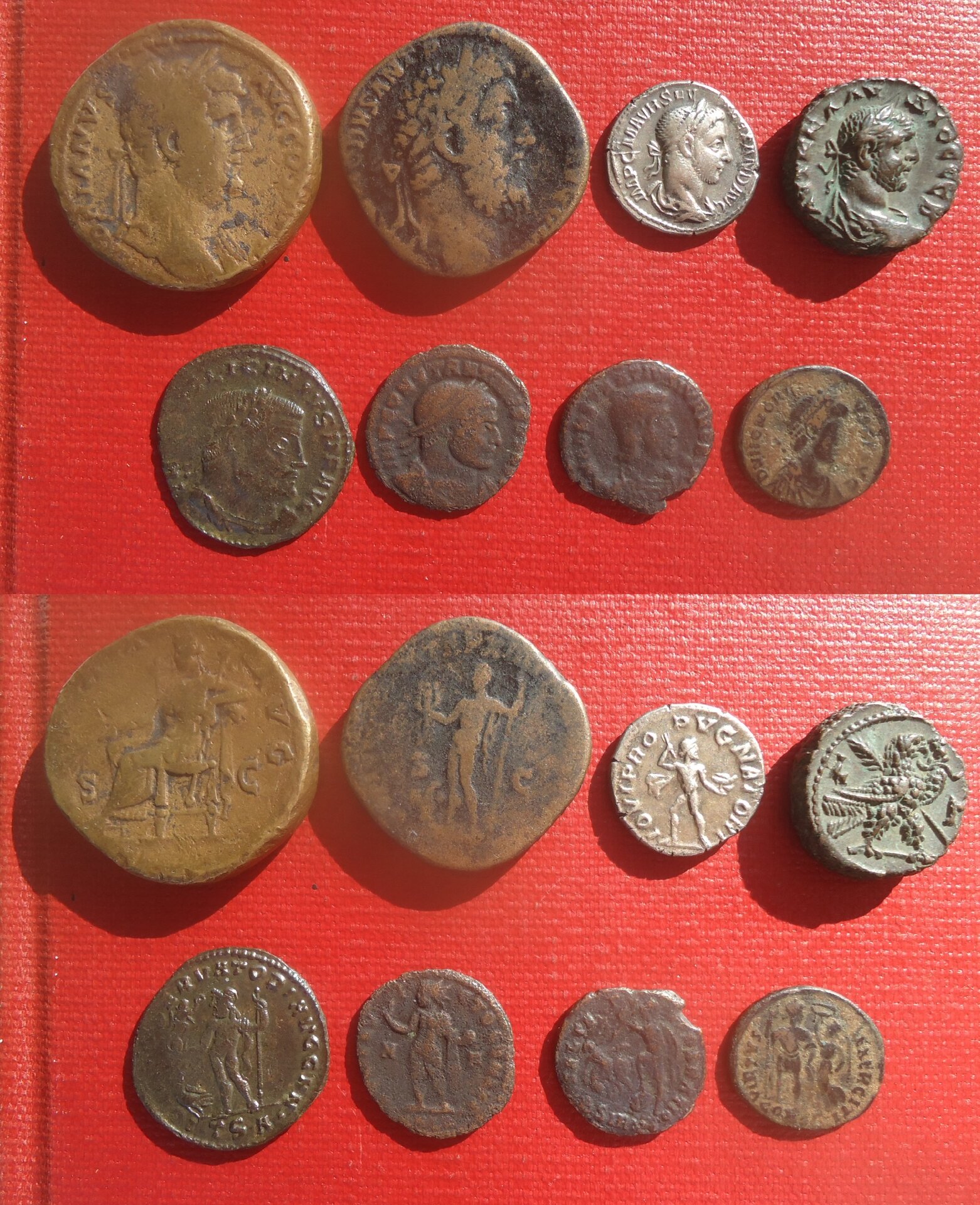_Lot 8 Romans Aug 2021 (0).jpg