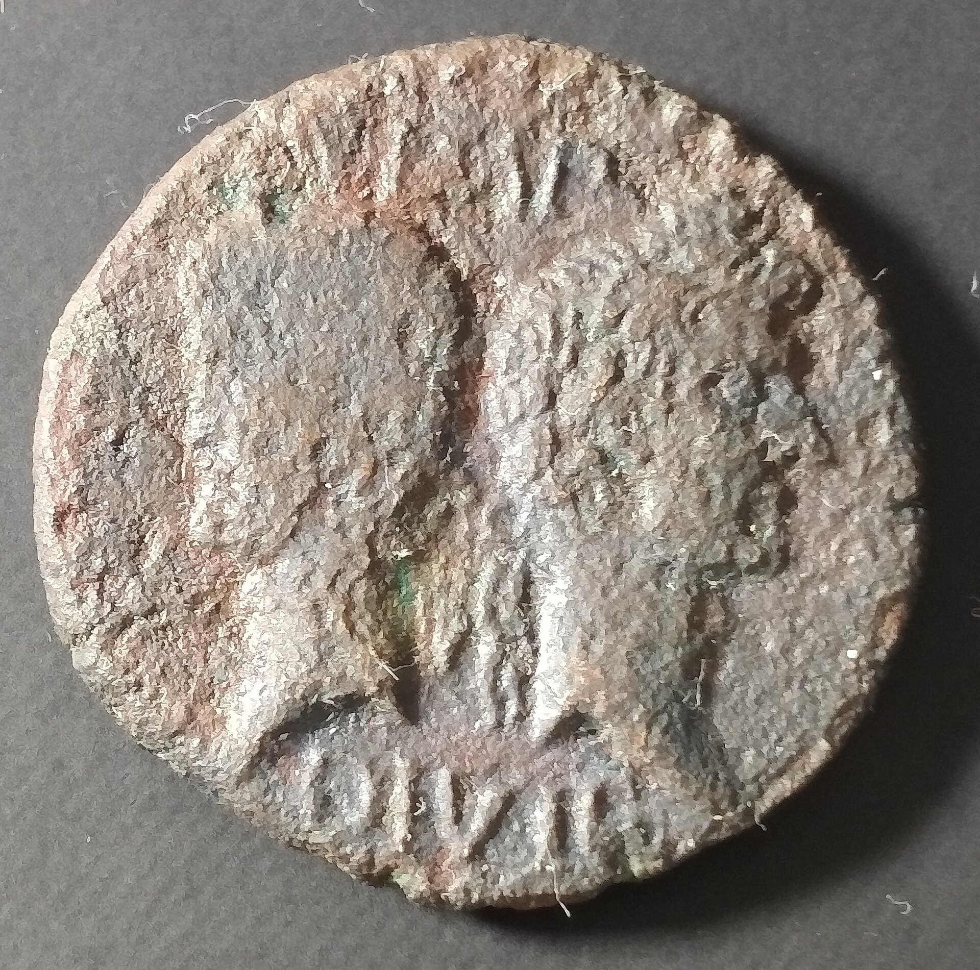 A and A croc Obverse.jpg