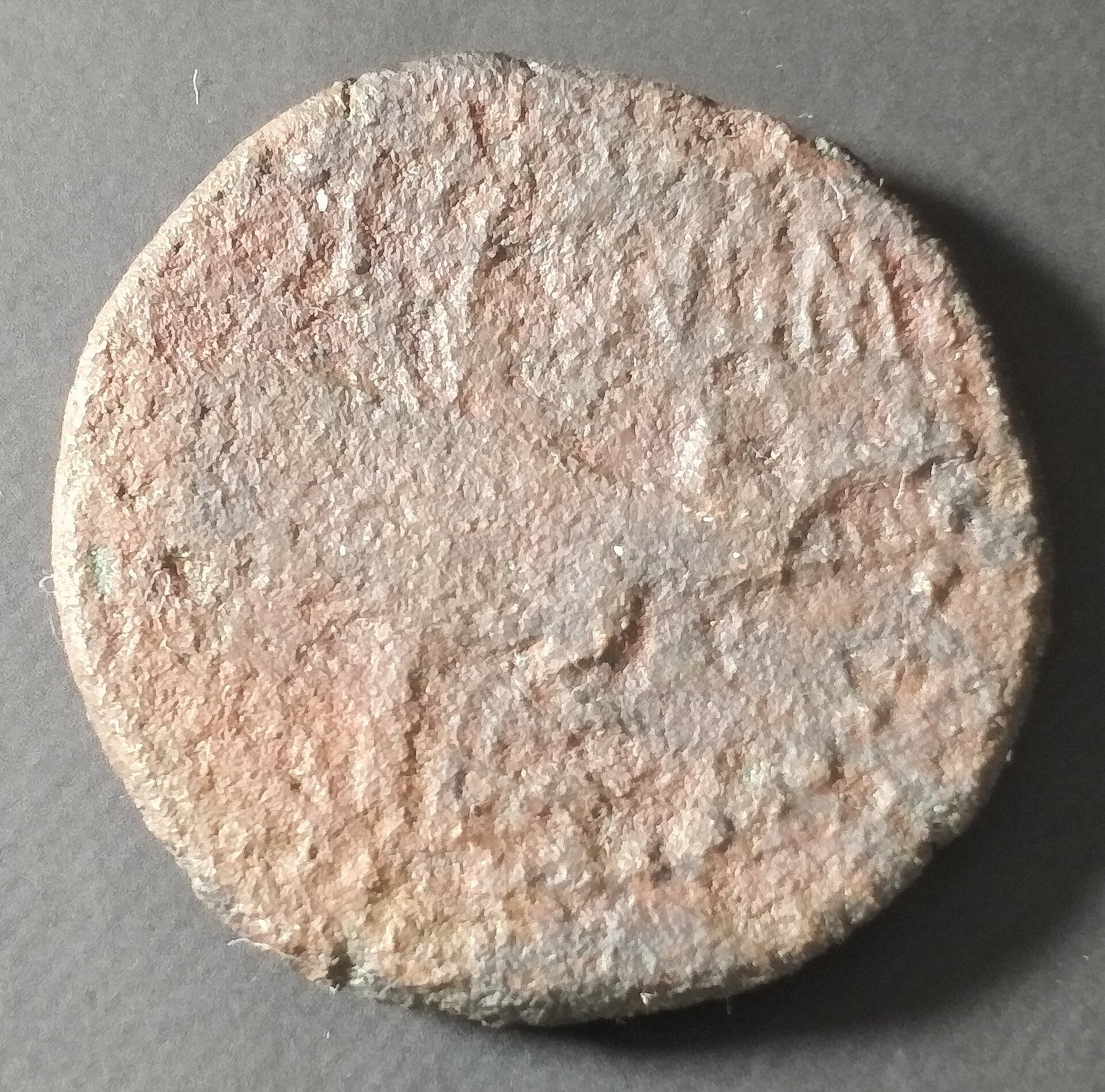 A and A croc Reverse.jpg