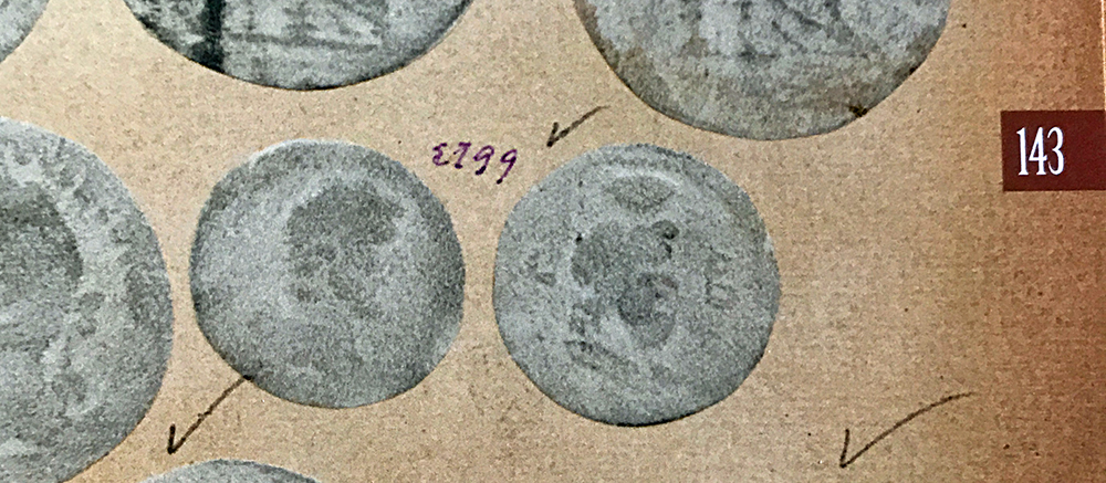 A-Pi-Serapis-Diobol-Savio.jpg