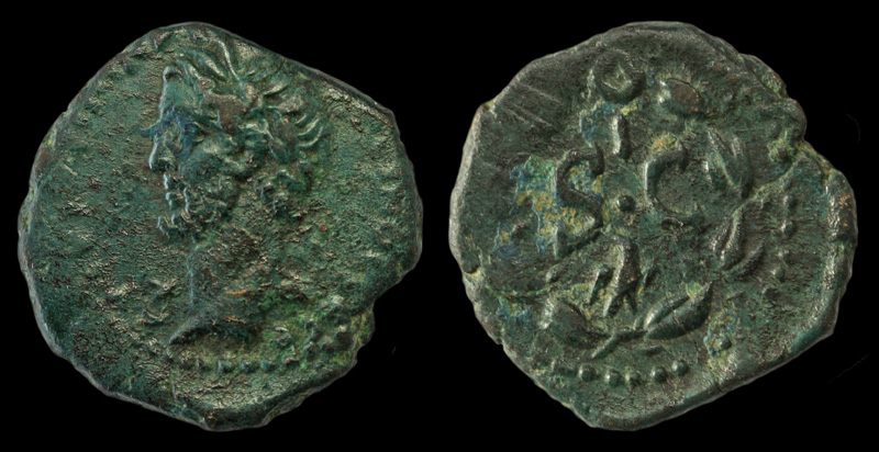 A-Pi-Syria-GB11-Med.jpg
