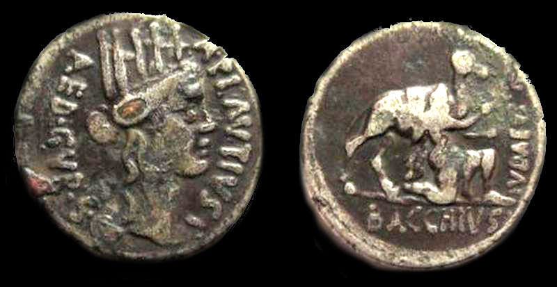 A PLAUTIUS.jpg