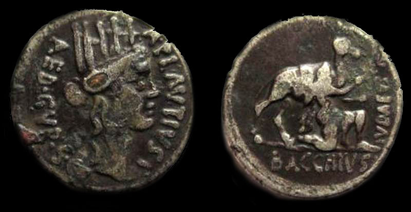 A PLAUTIUS.jpg