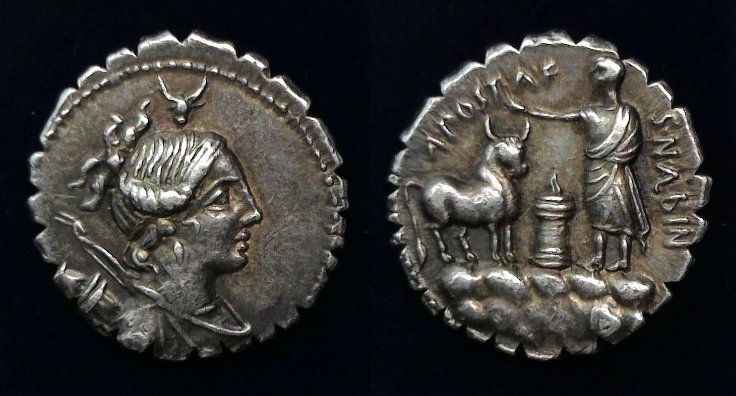 A. Postumius Bull.jpg
