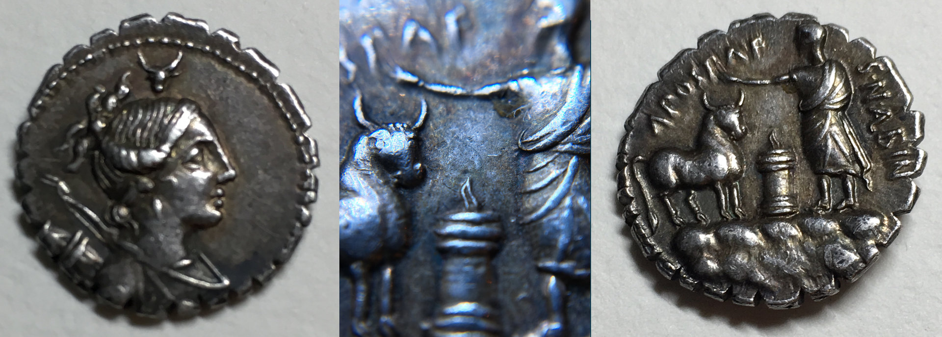 A Postumius.jpg