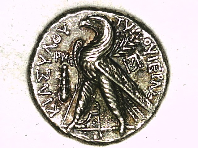 A003 - 20150920_134953.jpg