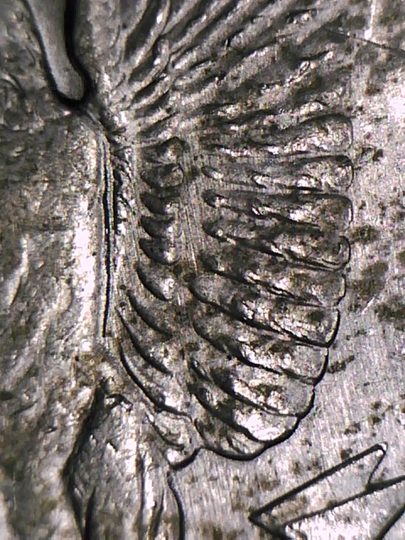 A003 - 20151008_195441 (2).jpg