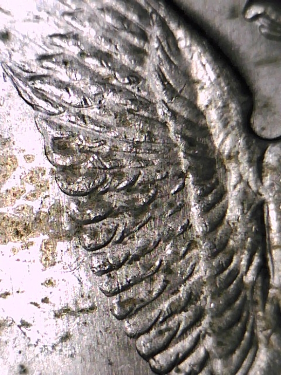 A004 - 20151008_201443 (2).jpg