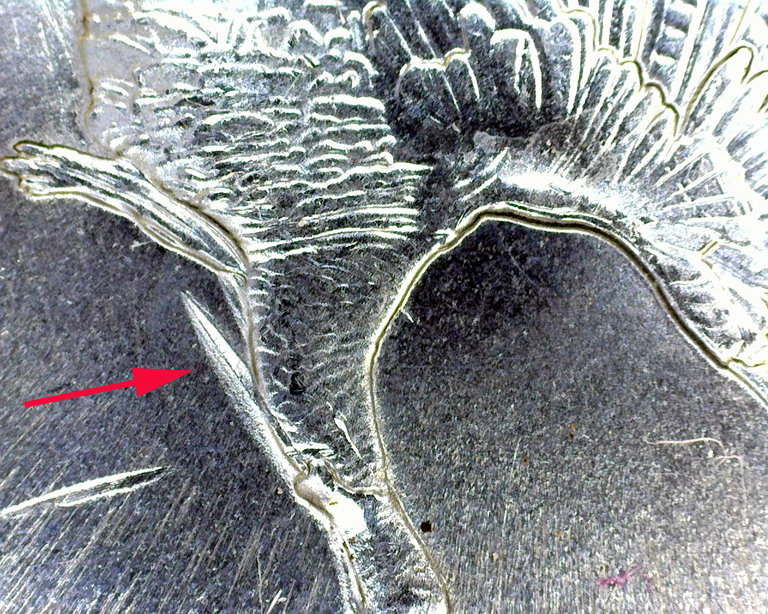 A004 - 20160407_194829.jpg