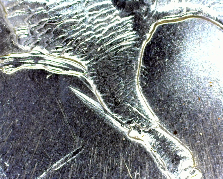 A005 - 20160407_194845.jpg