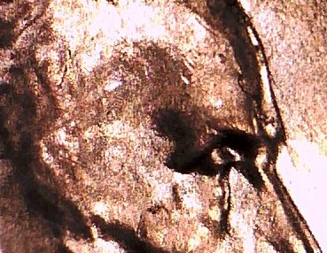 A006 - 20140606_091937.jpg