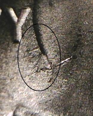 A018 - 20150909_103051 (2).jpg