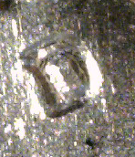 A020 - 20150306_120854.jpg