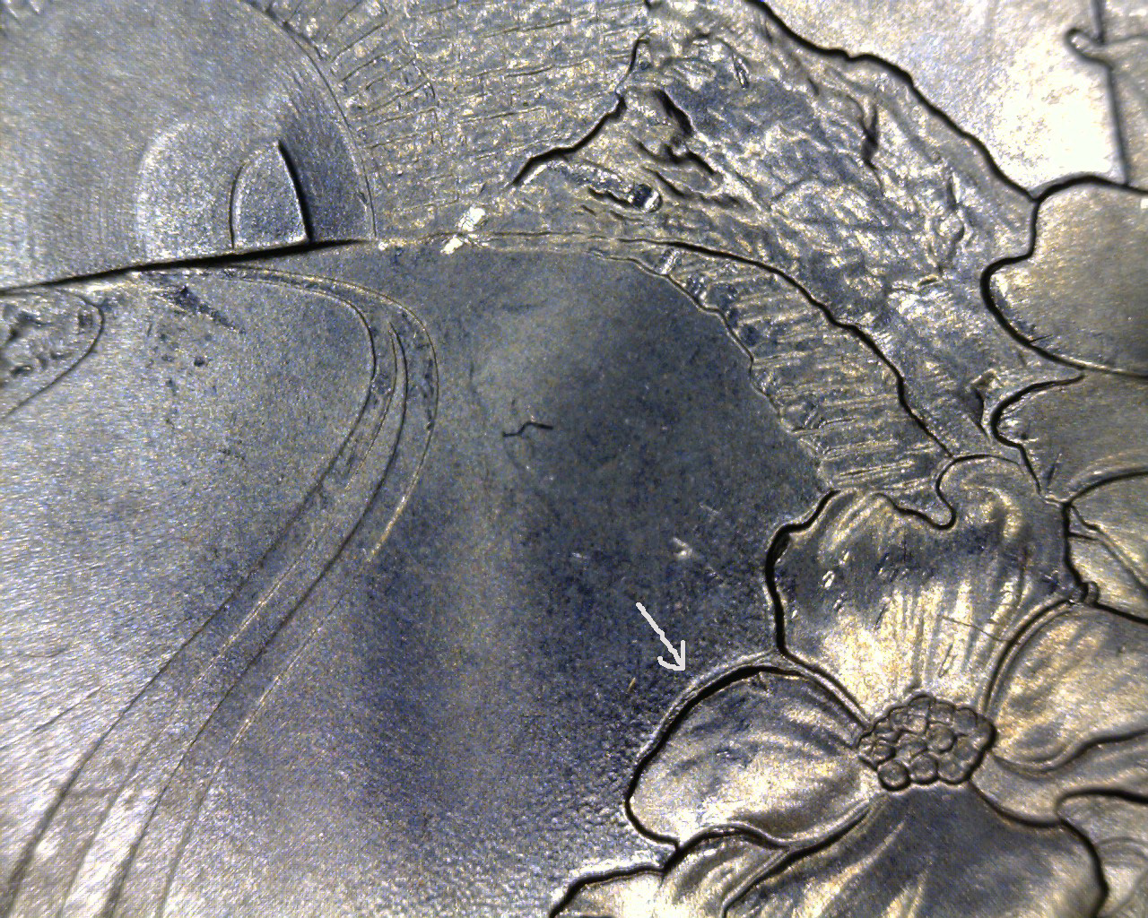 A025 - 20150711_175241.jpg