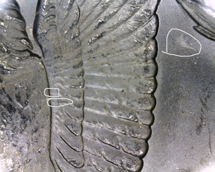 A029 - 20150704_145654.jpg