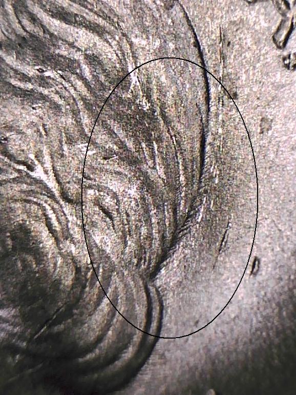 A043 - 20150910_082040 (2).jpg