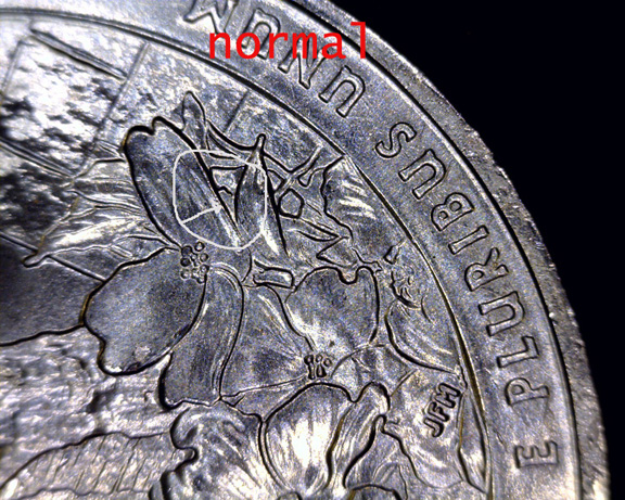 A050 - 20150720_130204 copy.jpg