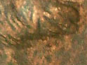 A1992halfchin133.jpg