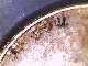 A239 - 20200612_230122.jpg