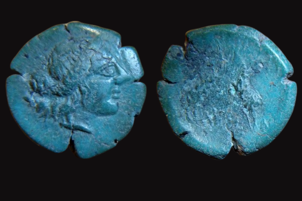 A387CE3A-FEF0-431E-8F96-3B09D731F3CE.png