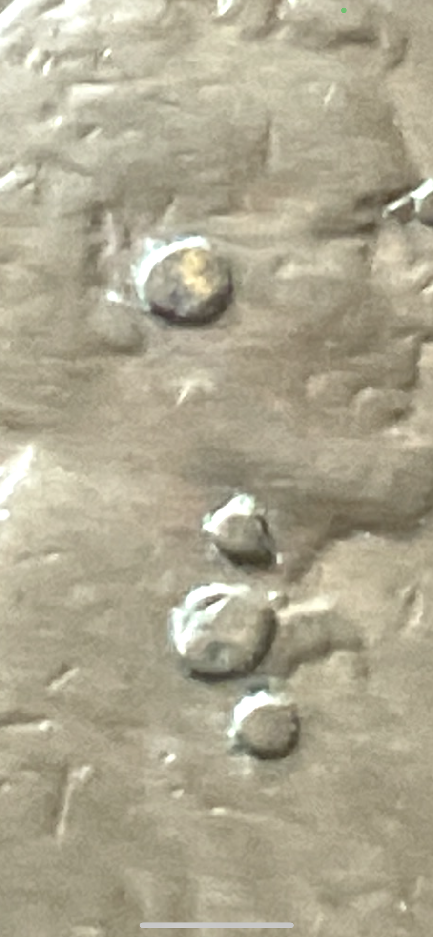 A3978C0D-07BF-4A60-A172-ED4D52D55BA7.png