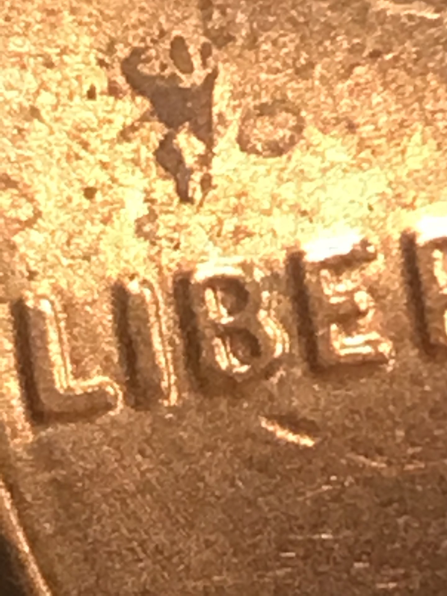 A580E294-FCE0-42D8-85D2-8781256E7A82.jpeg