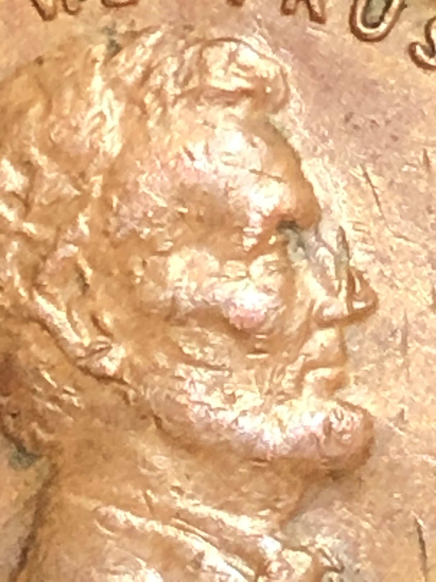 A5961240-9B44-4AE2-85F9-B3C65A8D7E28.jpeg
