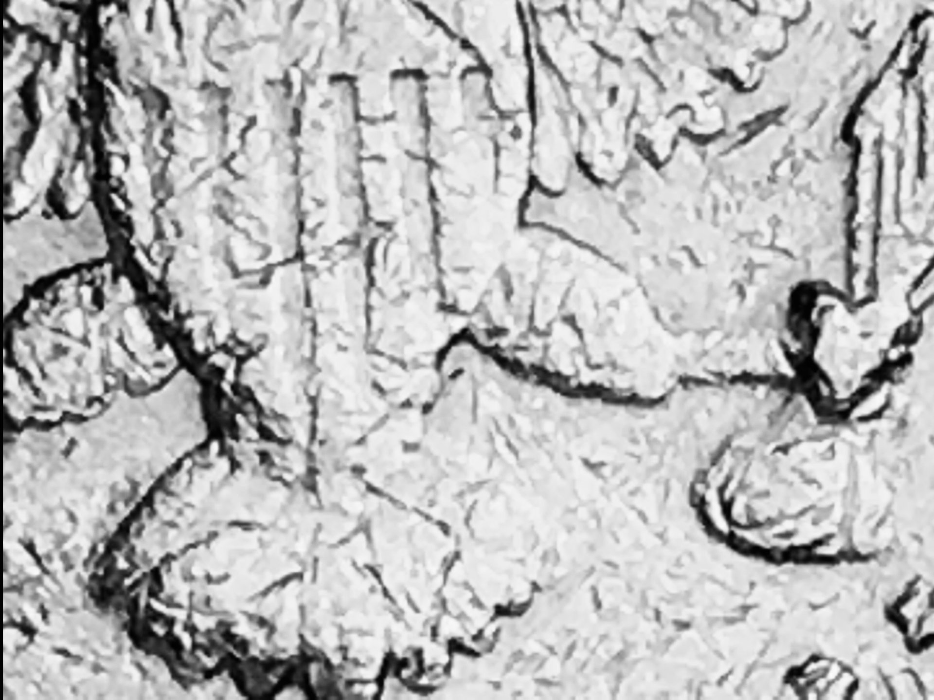 A7D4F6B0-DA30-46FA-B35A-DCB65658B344.jpeg