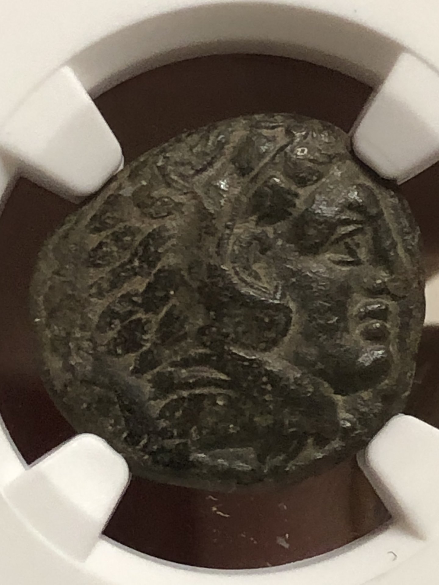 A840BC4D-C181-4895-BF03-1A31555DCA3A.jpeg