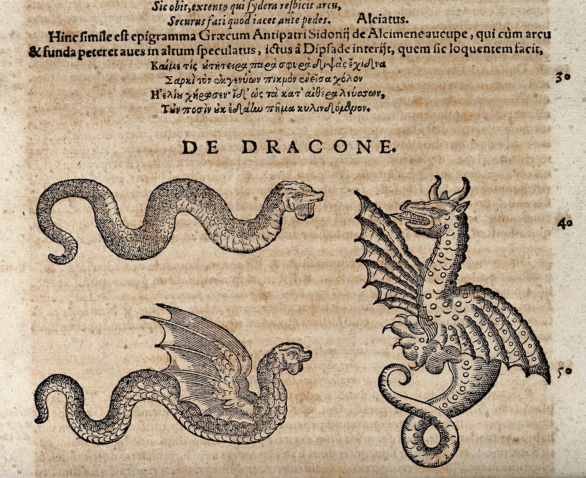 A_serpent,_a_winged_serpent_and_a_dragon._Woodcut_after_C._G_Wellcome_V0021191.jpg