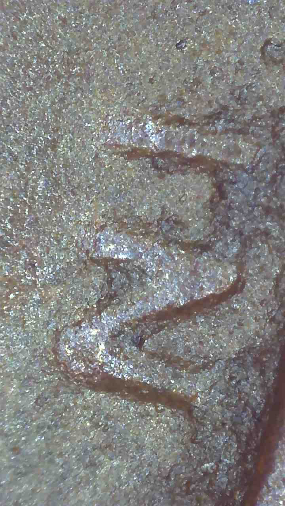 AA01D882-F1FD-40A0-8B58-FD5D95375B46.jpeg