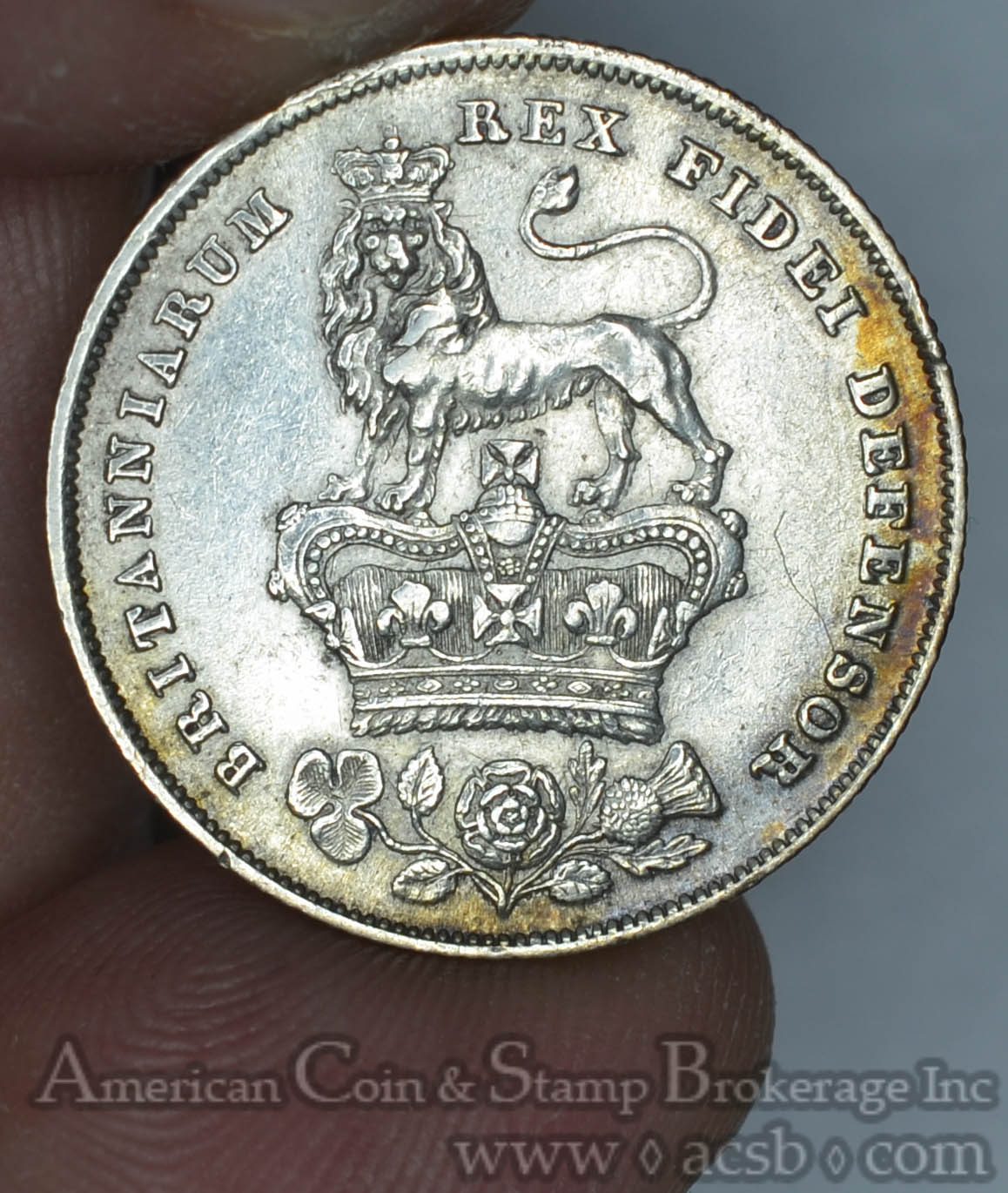 AAB4898_2.jpg