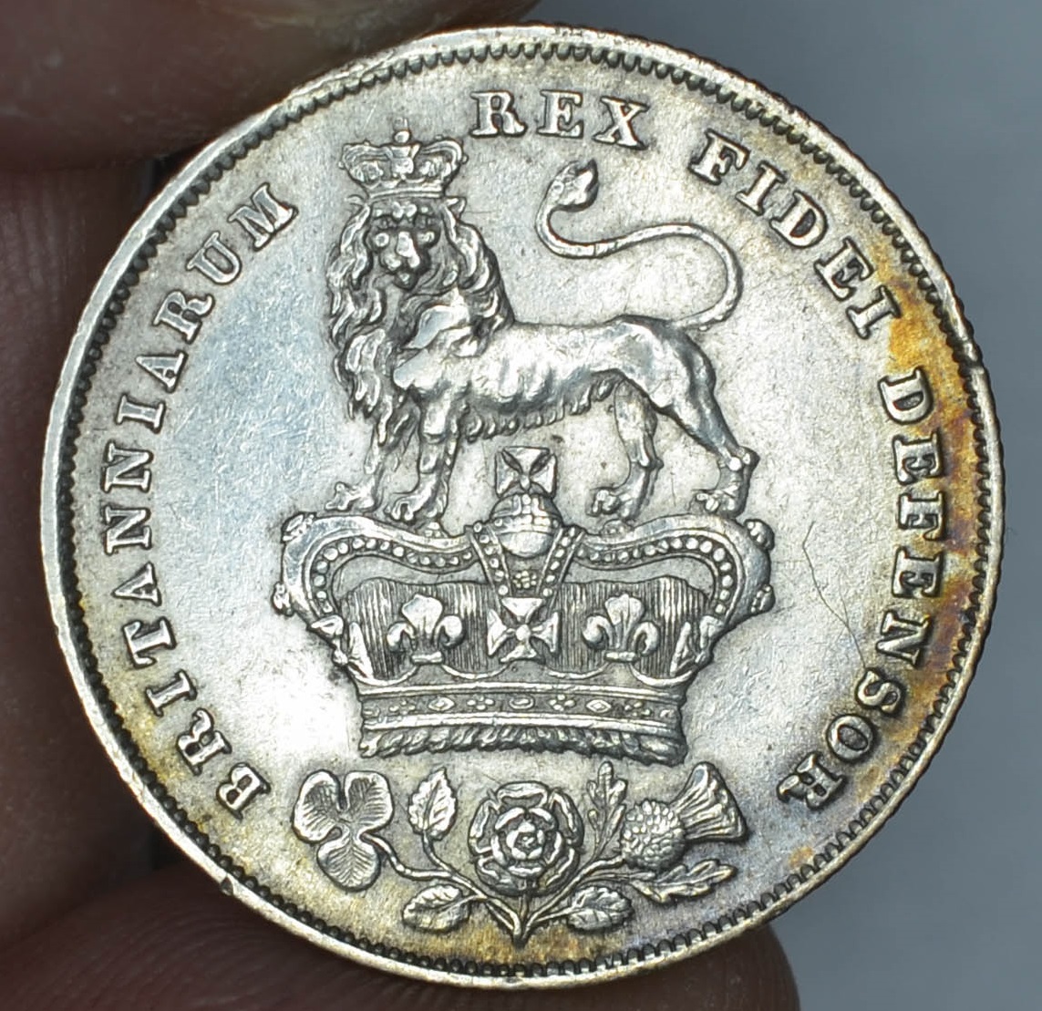 AAB4898_2.jpg