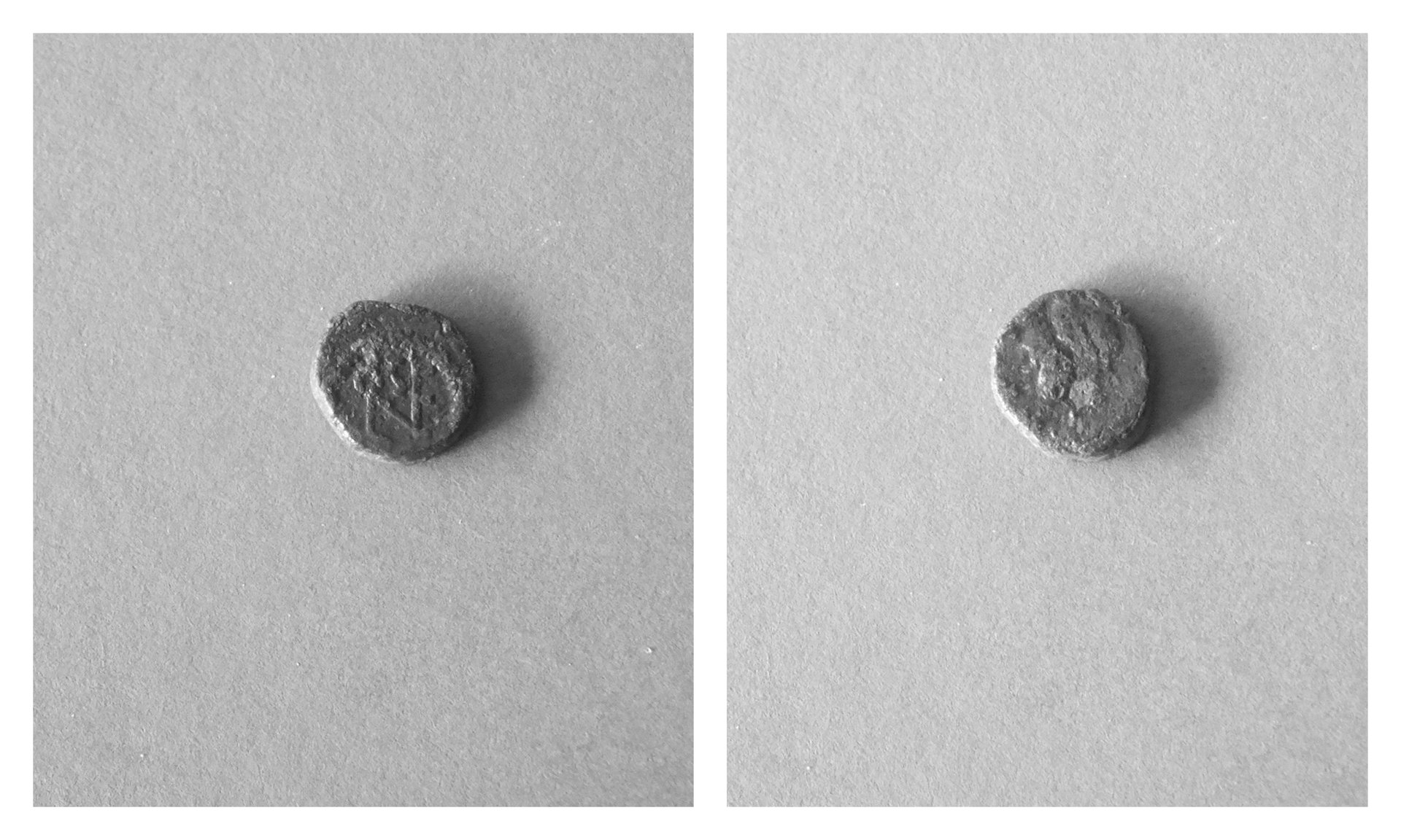 aaLeoNummusMonogram.jpg