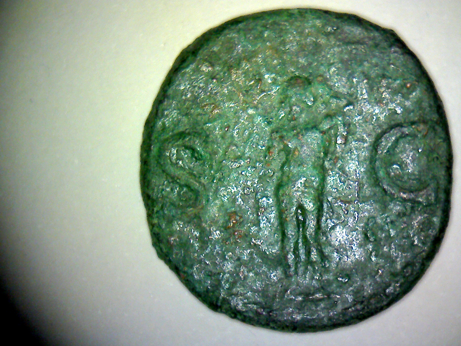 AASL-355 REVF.jpg