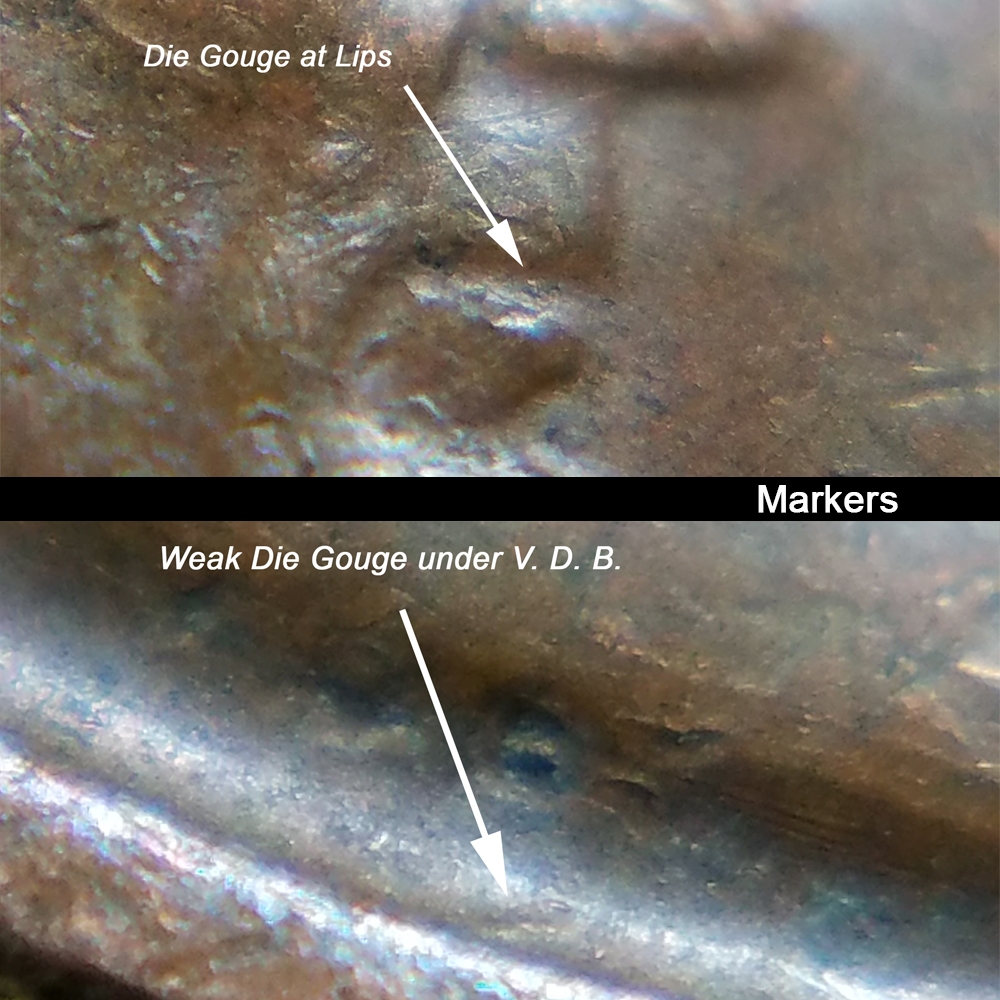 ab01 markers.jpg