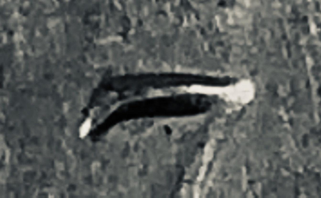 AB9EDB1A-E5F1-4E73-88F3-80EEB13A871C.jpeg