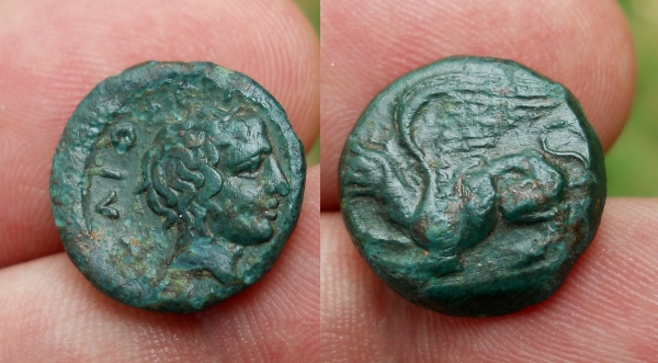 abd 6.jpg