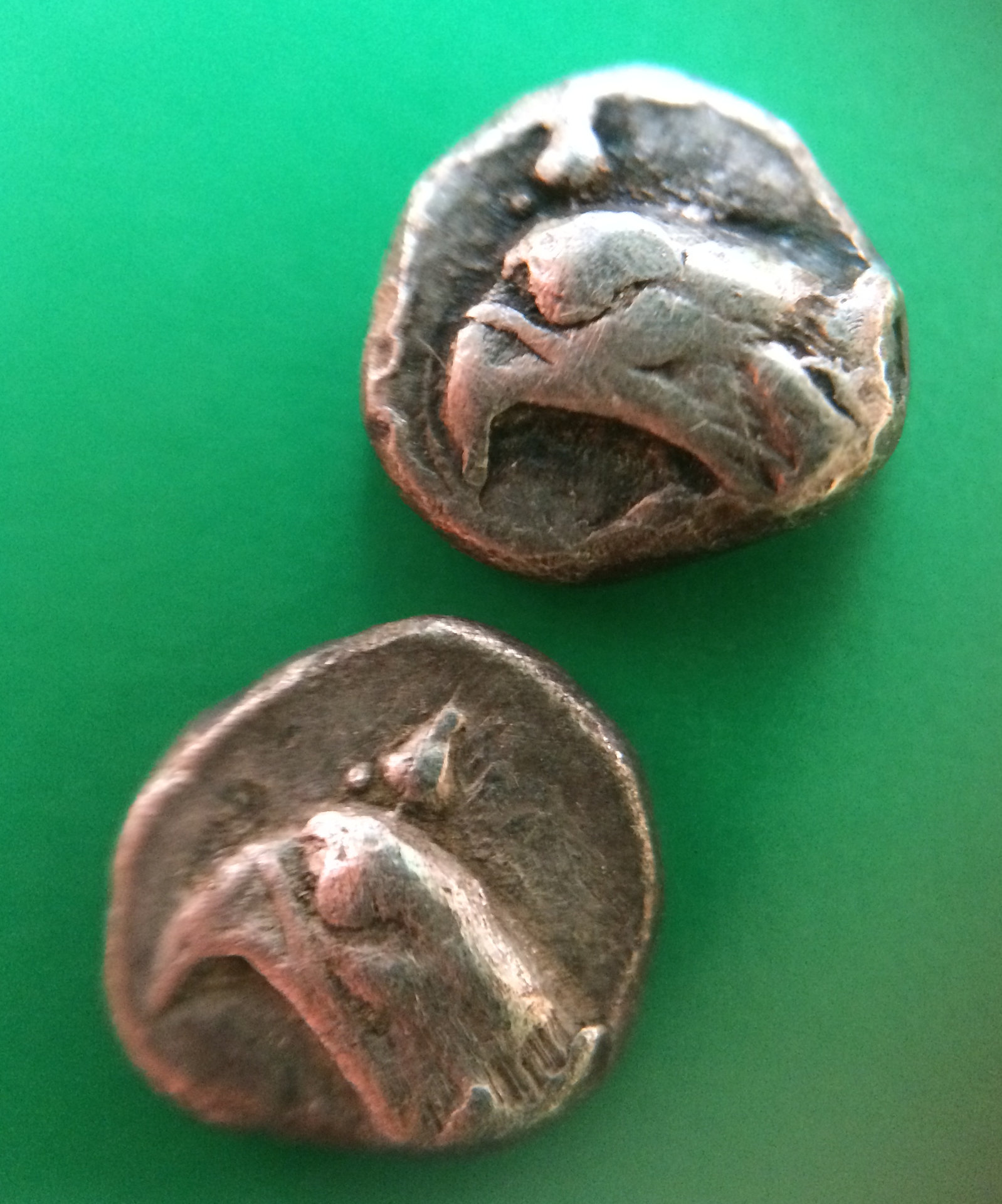 Abdera 2 hemis obv.jpg