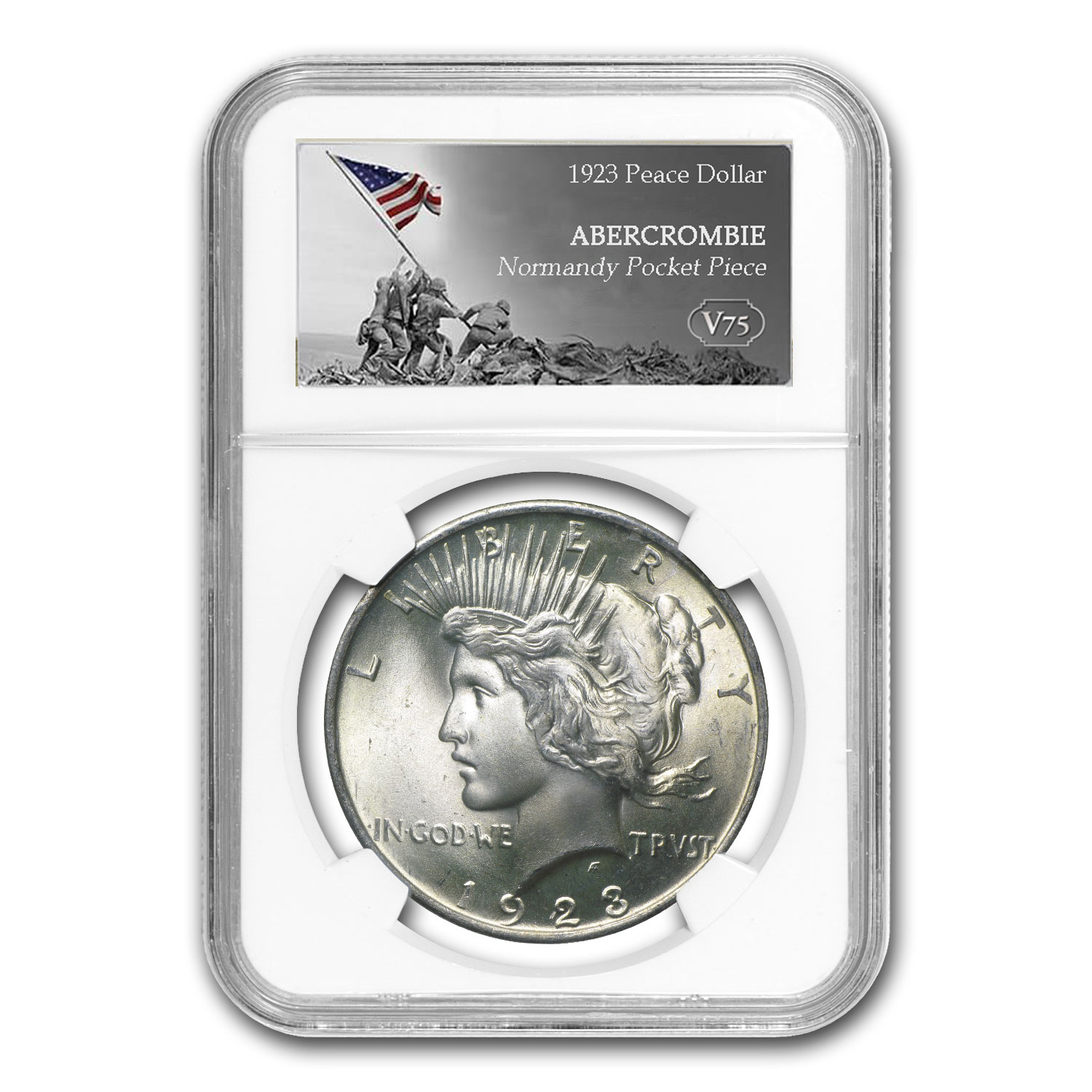 Abercrombie Peace Dollar 1 copy.jpg