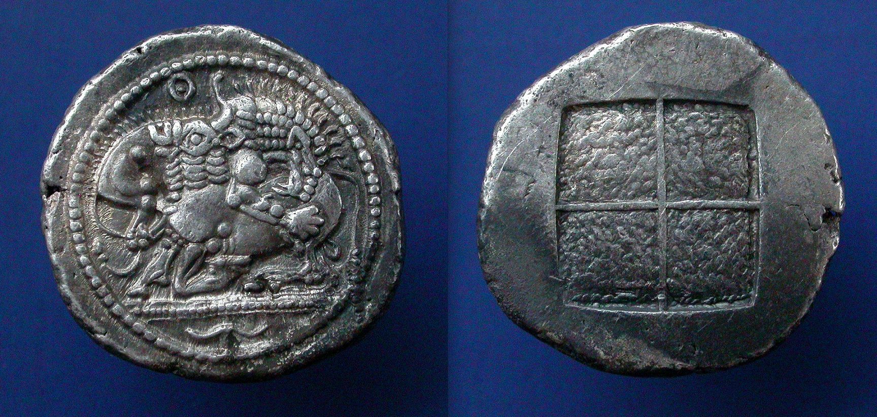 acanthos1.png
