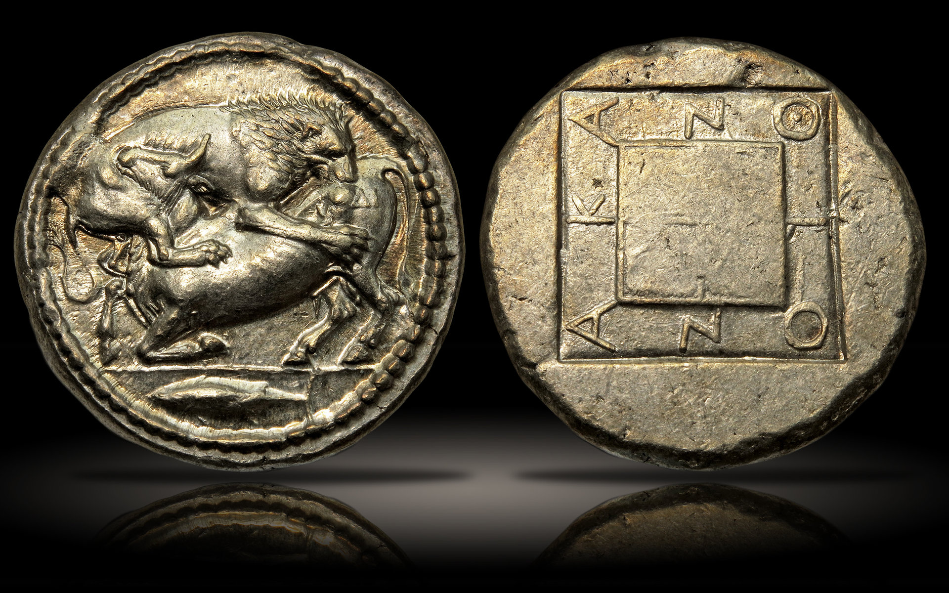Acanthus.jpg