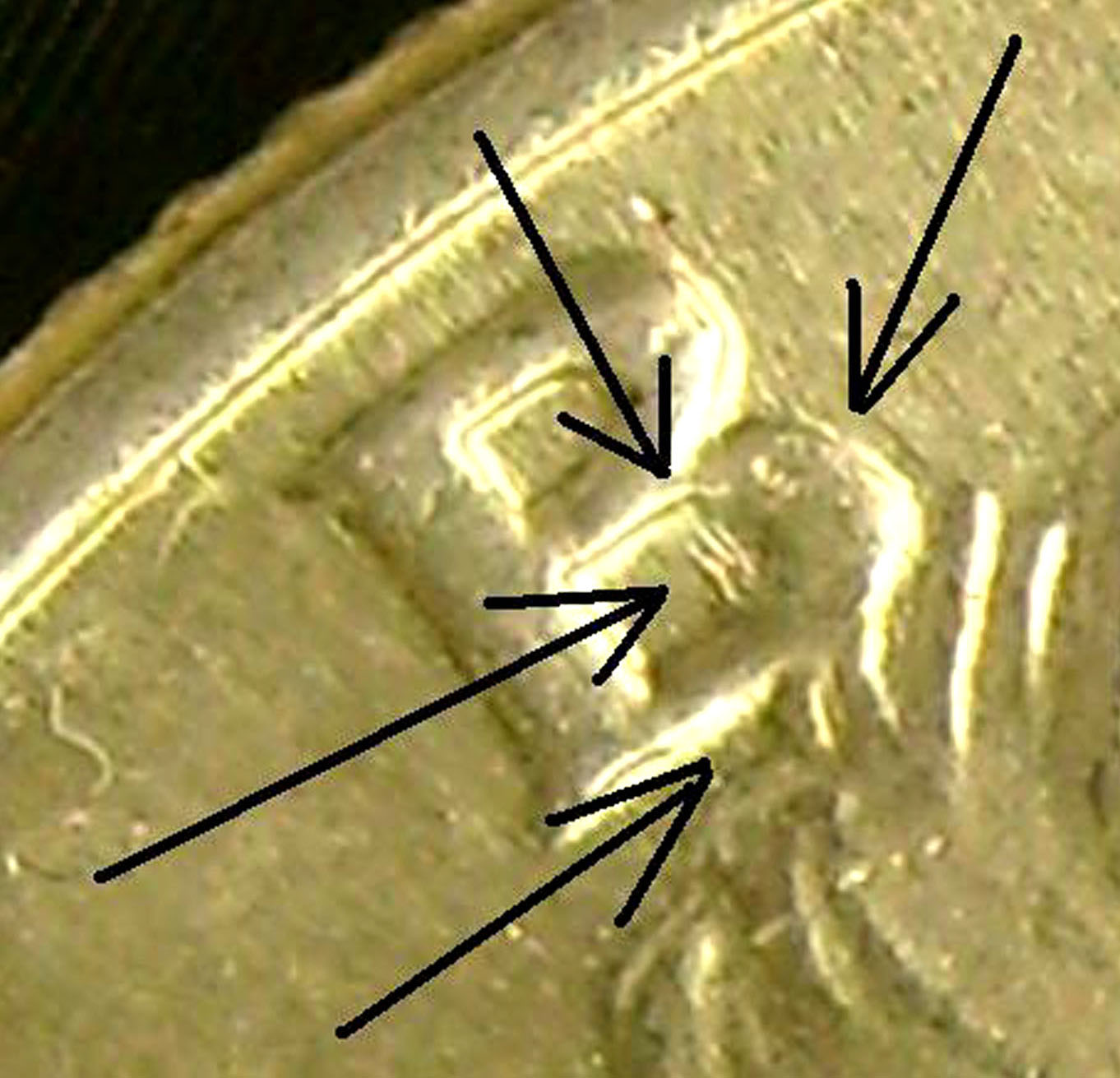 Accented  hair CropA.jpg